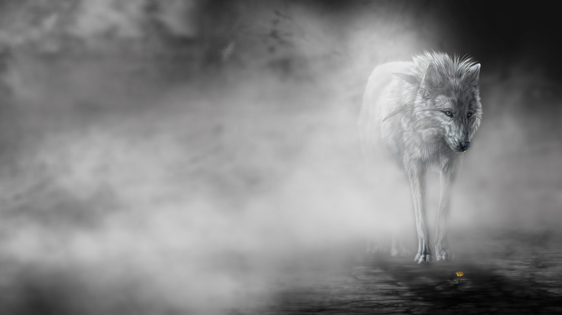 the fog art wolf wolfroad blume nebel