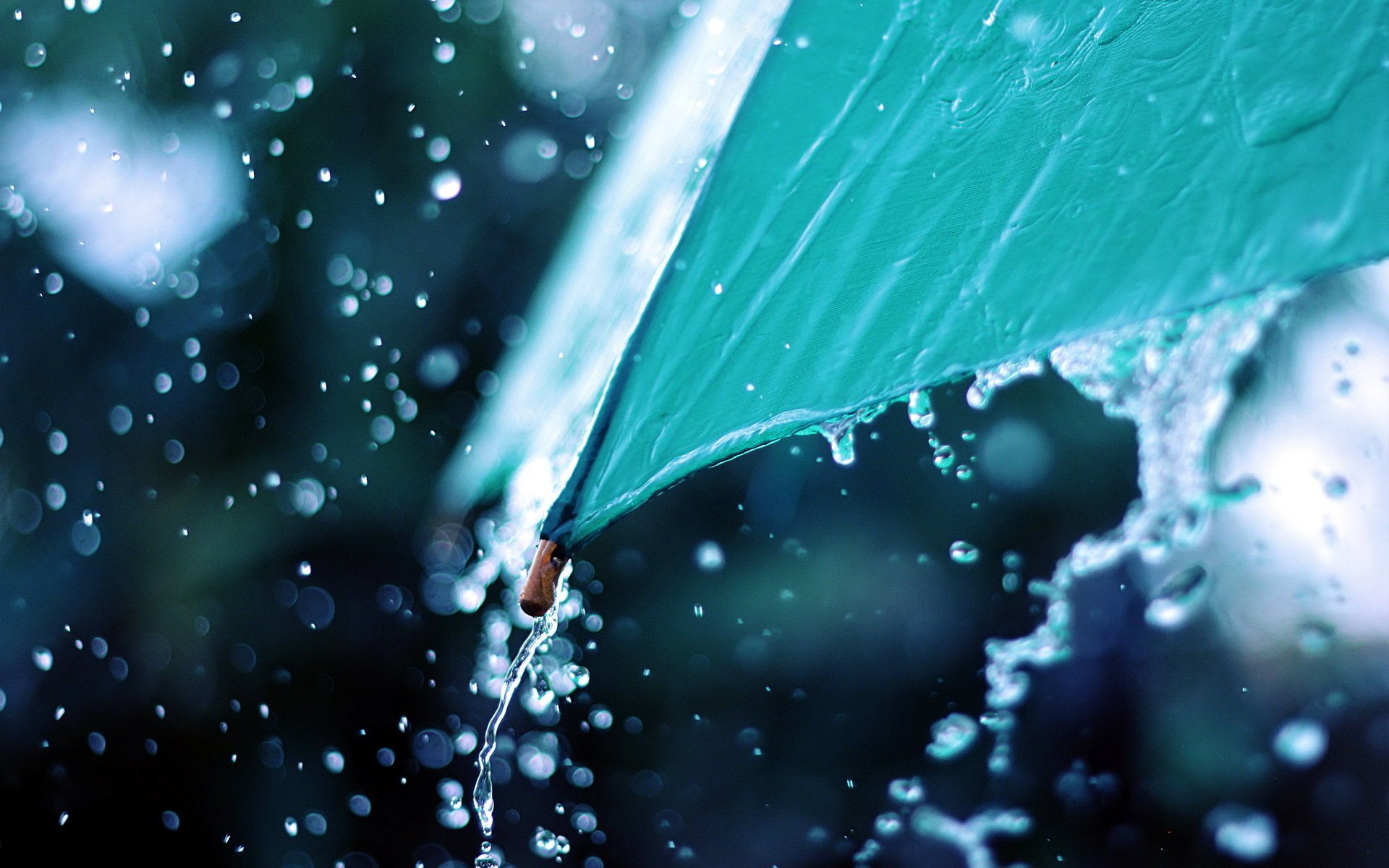 umbrella macro rain drop