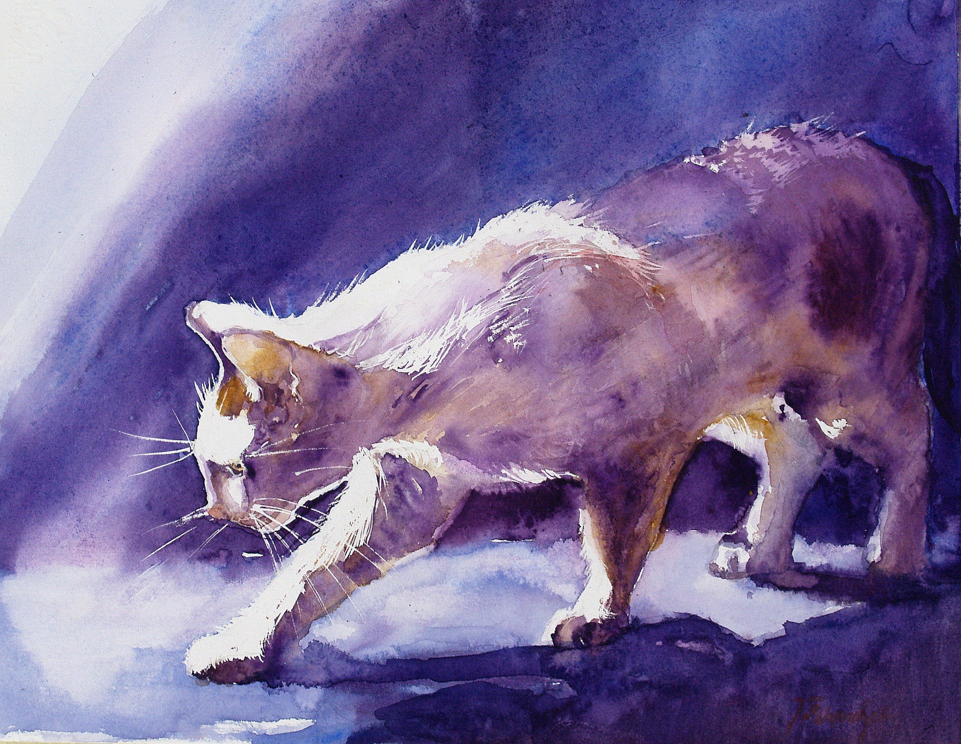 gouache gatos dibujo