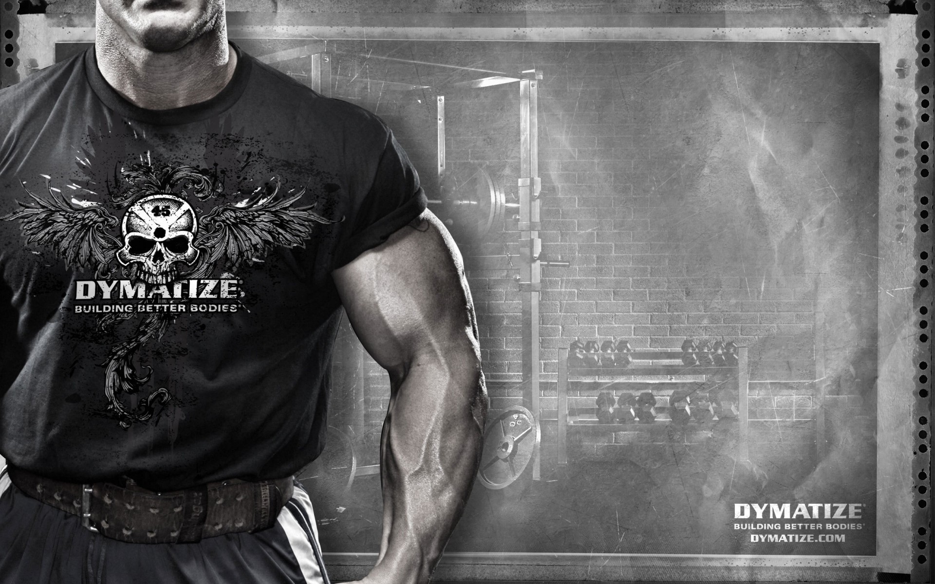 muscles sportpit dymatize sport