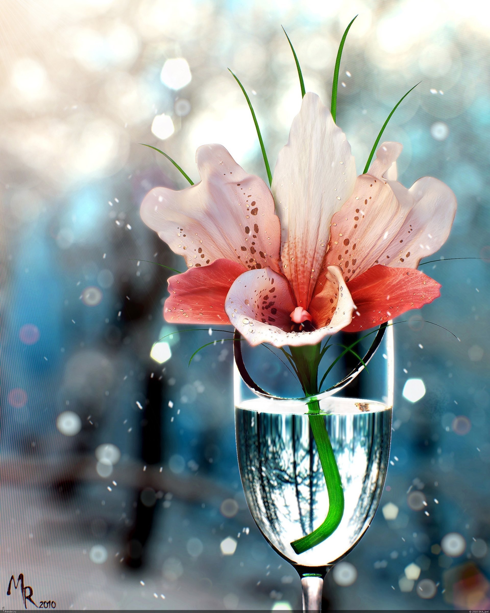 flower glass water