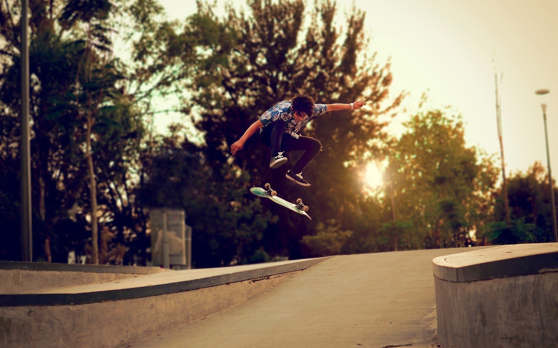 ragazzo skateboard skate strada alberi