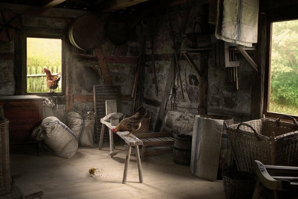 A rustic barn with chickens and all sorts of utensils