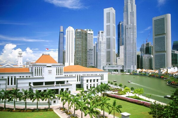 Vue du gratte-ciel de Singapour à travers les palmiers