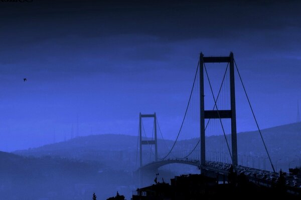 Golden Gate in Siniva. Brücke im blauen Nebel