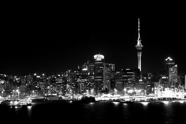 Night City City in black and white