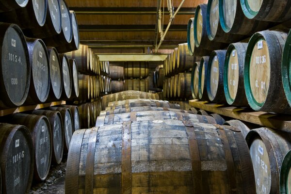 Barriles de vino en la bodega en los estantes