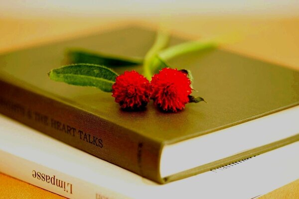 Zwei Bücher liegen auf dem Tisch und zwei rote Blumen darauf