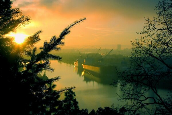 Con l alba attraverso gli alberi, una splendida vista sul porto