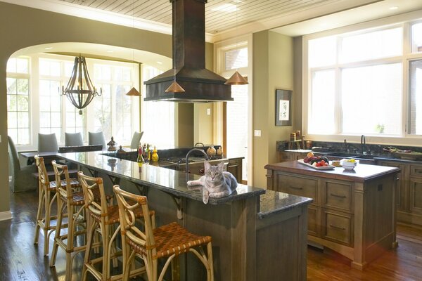 Kitchen interior with bar counter brown