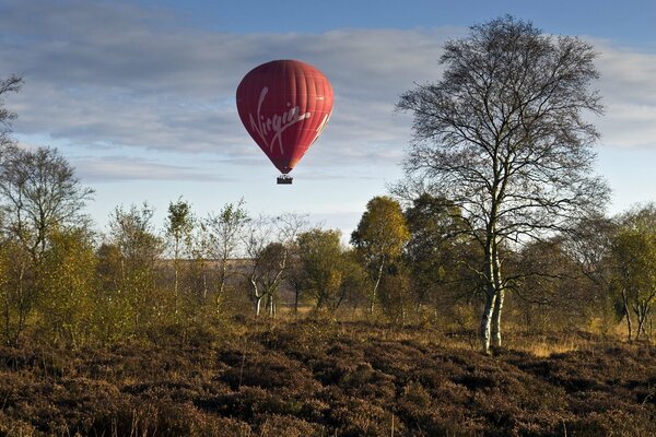 The time of the year is autumn. Balloon in the sky