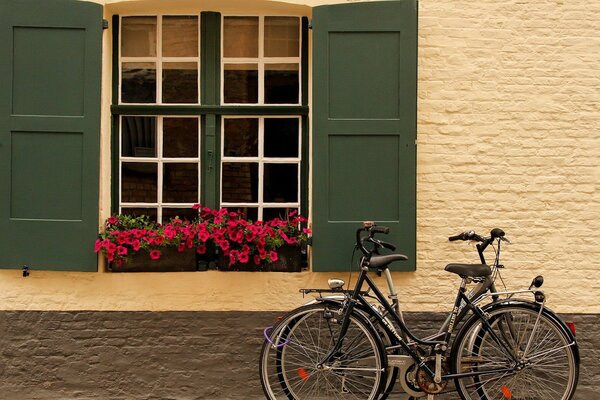 Vélos sur la fenêtre de l eau avec des fleurs