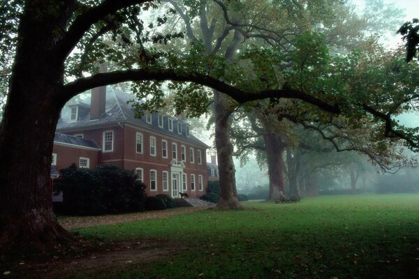 A house in Virginia among the trees