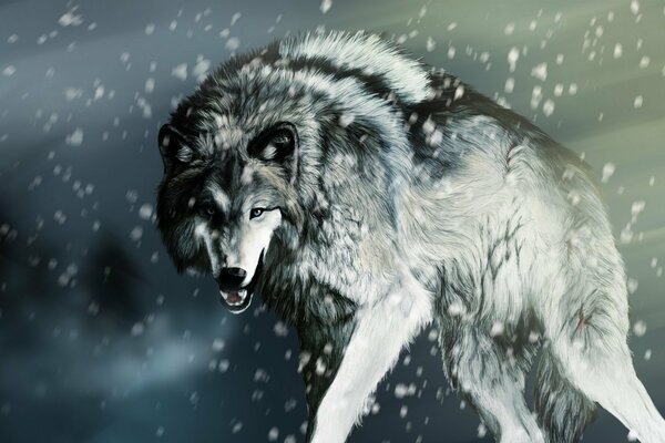 A wolf wandering in the snowy mountains, in search of prey?