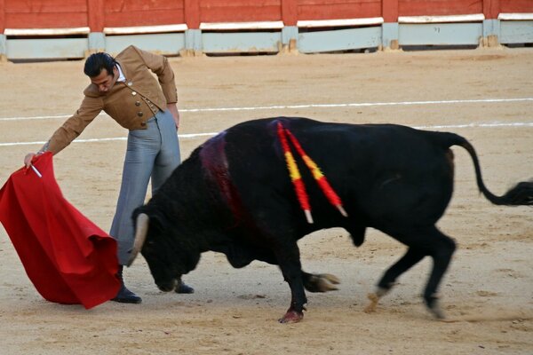 Spagna Festival Fiesta Matador e Toro