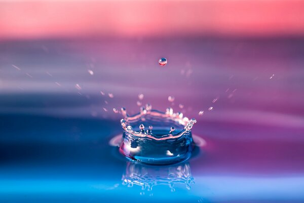 Macro that caught the moment of the drop falling in pink and blue shades