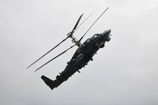 Ka 52 helicóptero ruso Cool Alligator