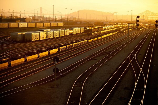 A railroad in California. Morning