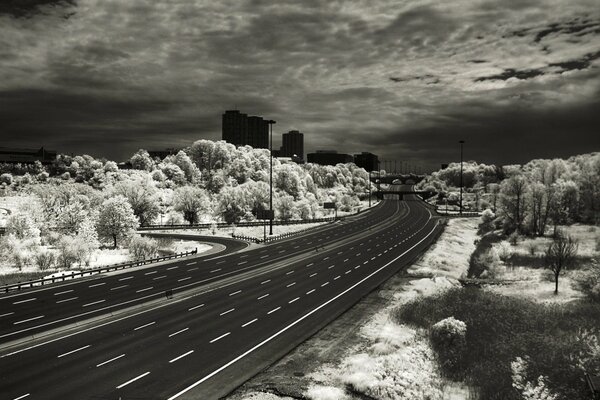 Insolita fotografia in bianco e nero di una strada sullo sfondo di un parco e grattacieli