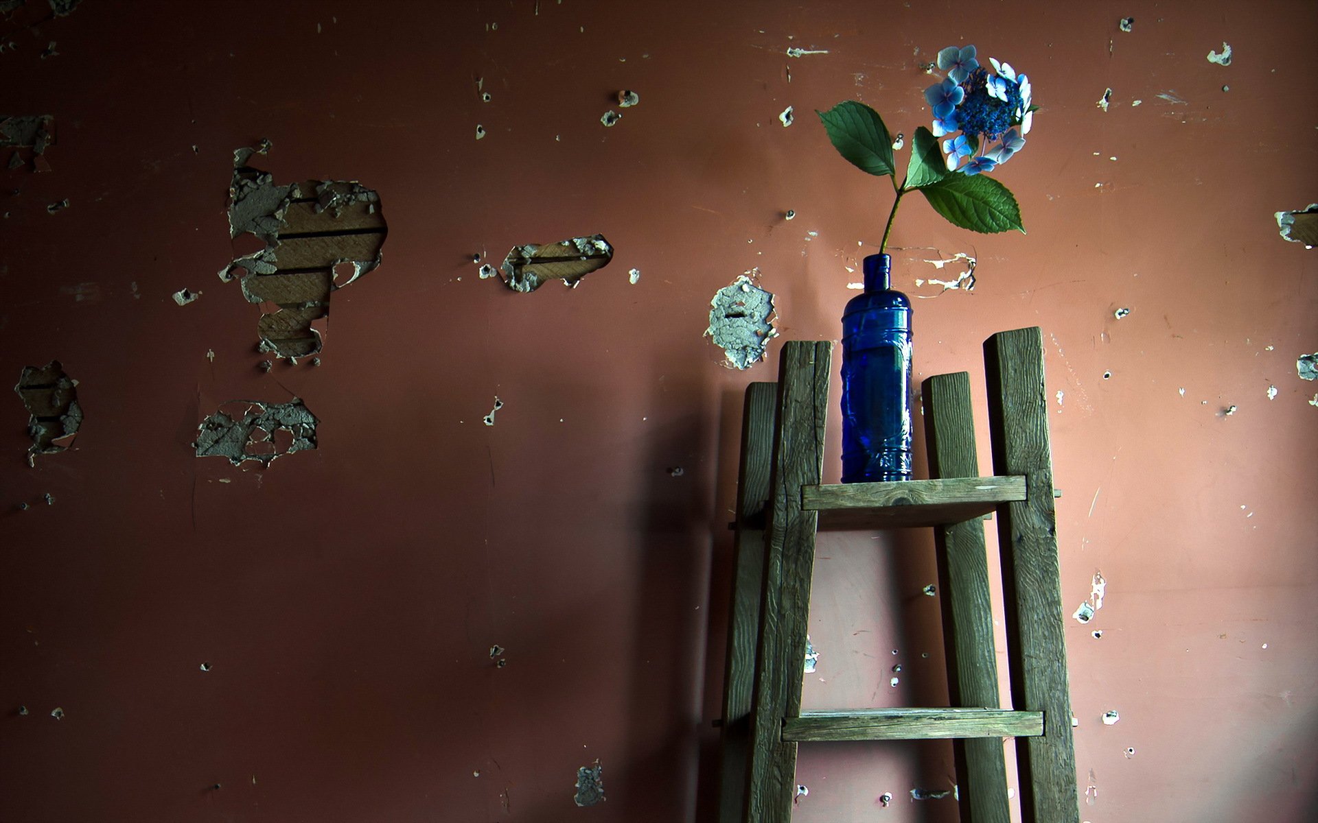 flower a bottle wall