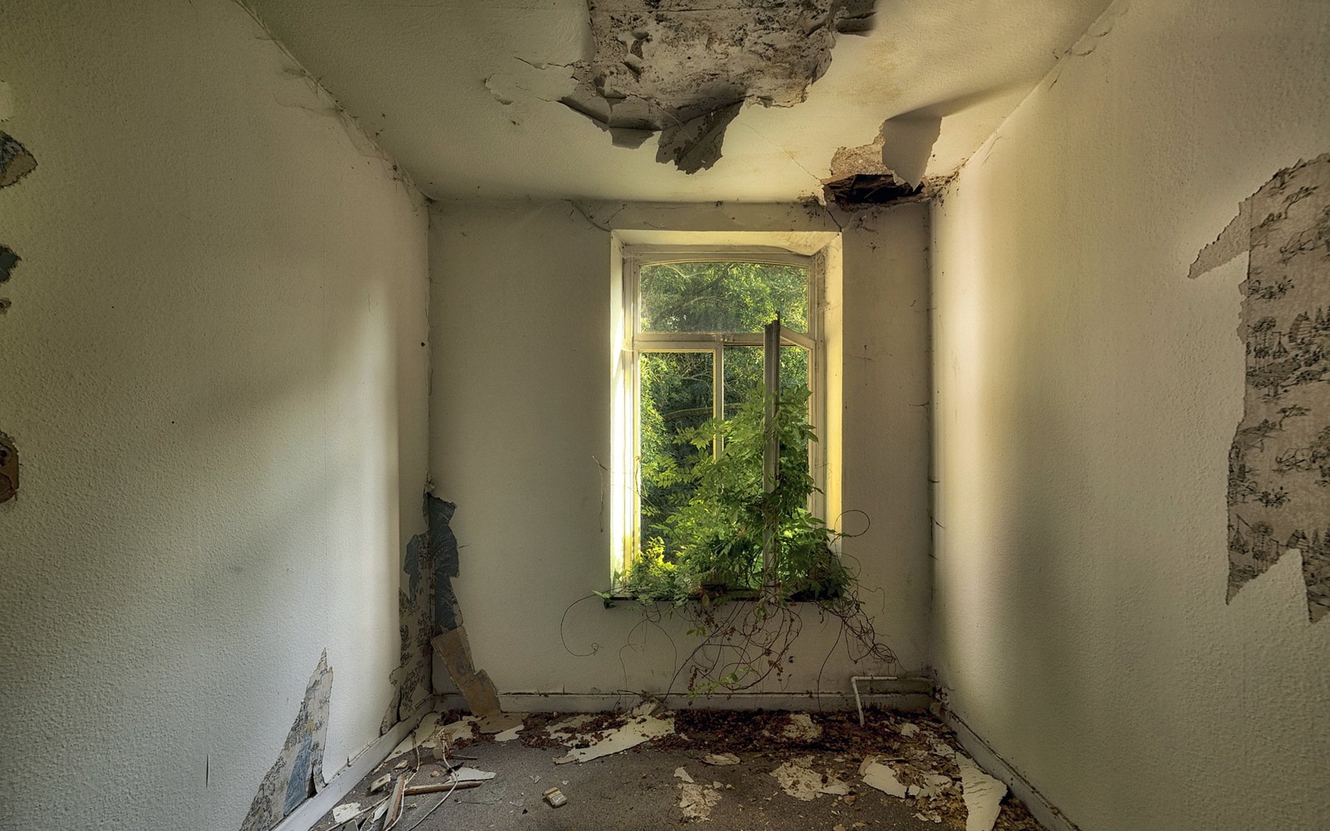 habitación ventana verde