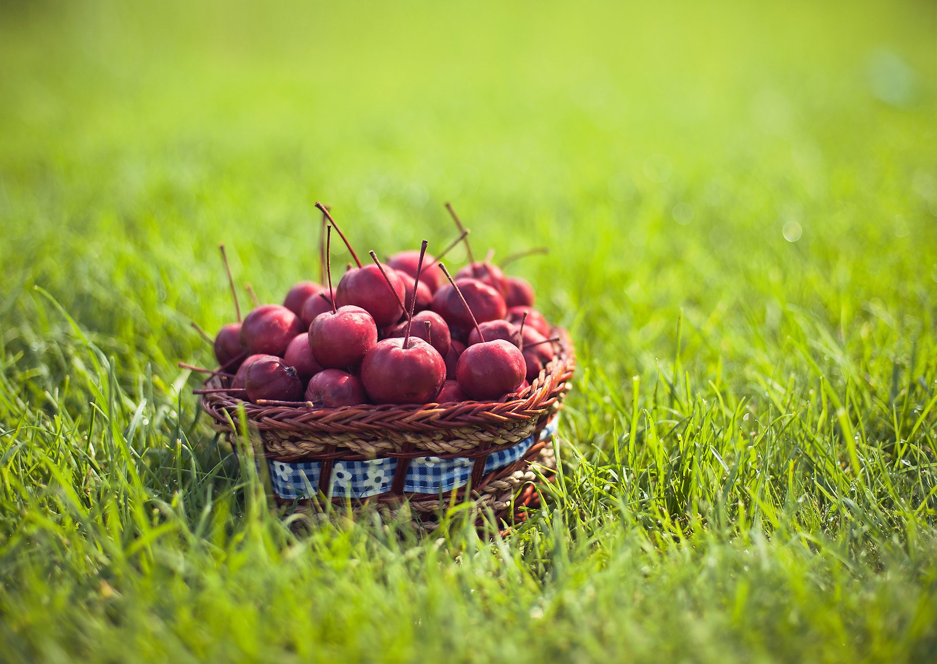 ranetki food fruit grass basket