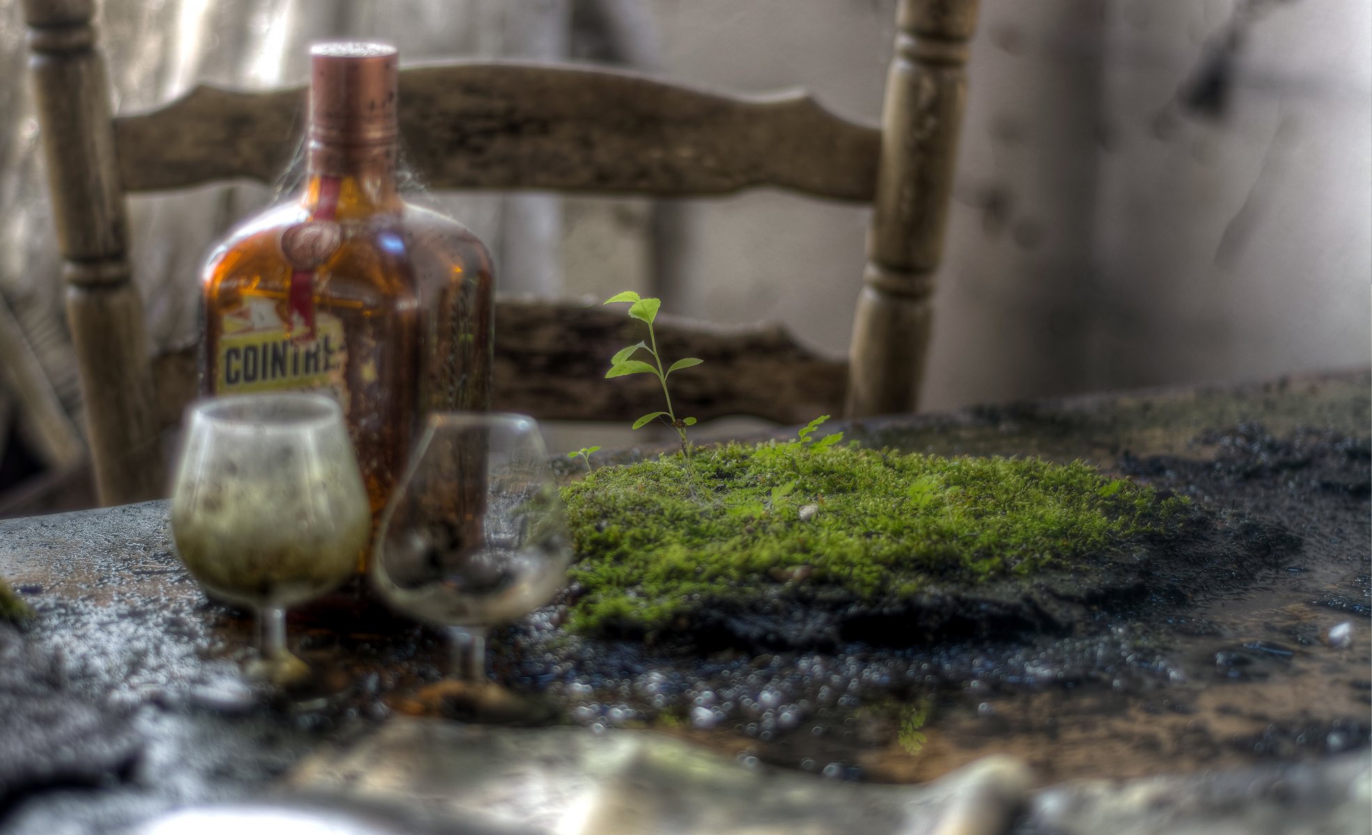 table moss a bottle