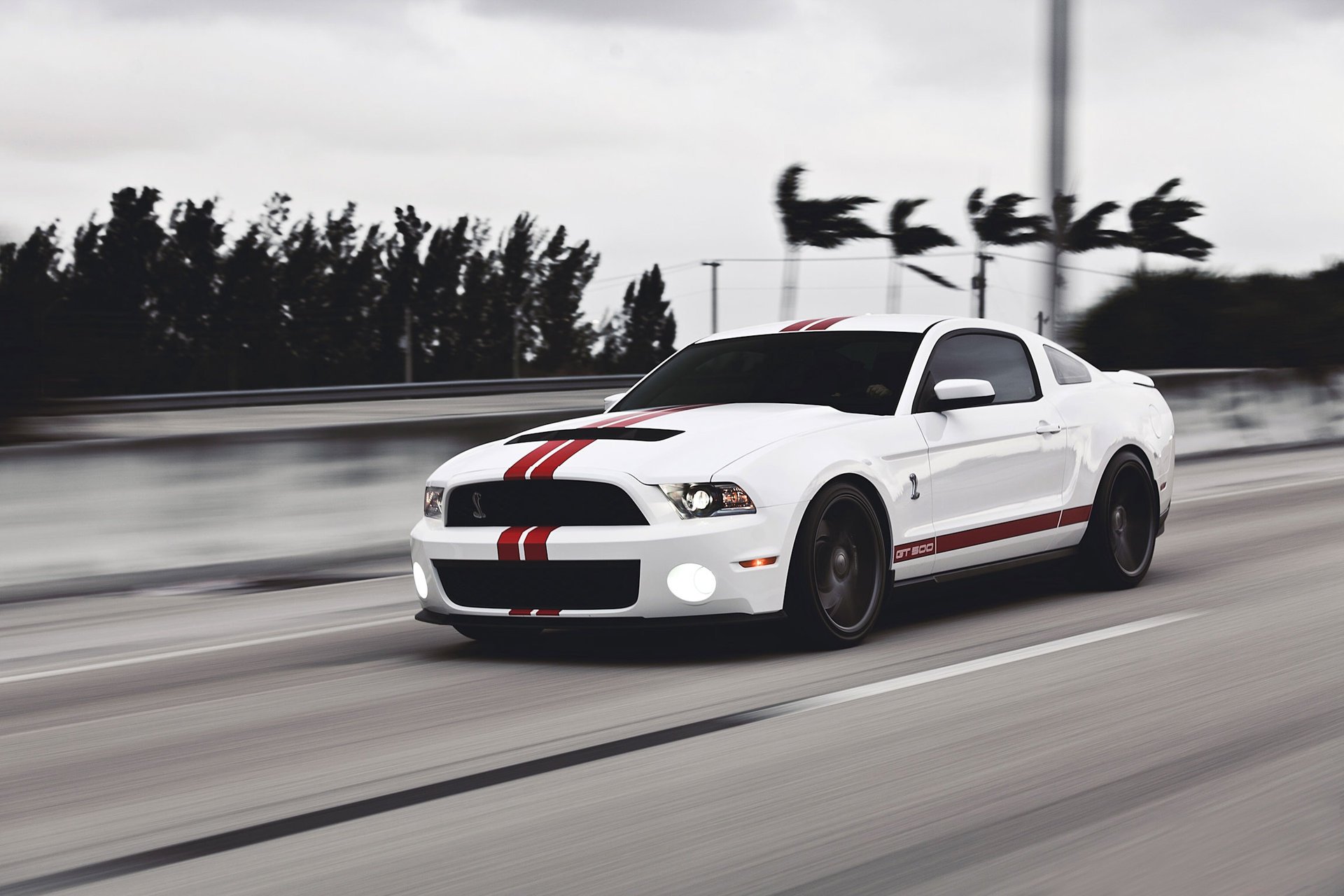 ford mustang gt500 форд muscle car мустанг белый shelby мускул кар