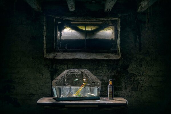 Cage sur une table sous une fenêtre avec une toile d araignée