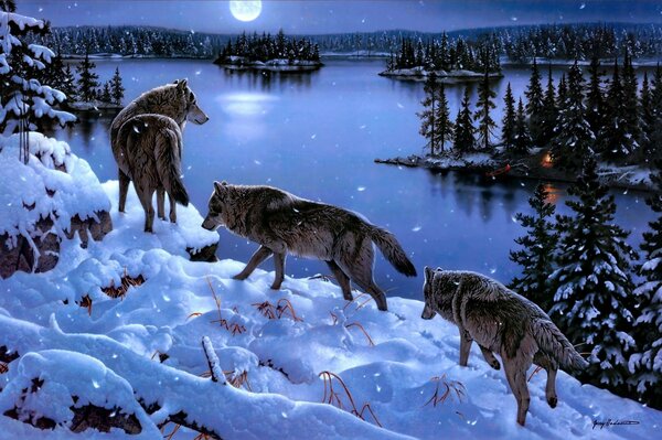 Stado głodnych wilków na zaśnieżonym zalesionym zboczu u podnóża niebieskiego jeziora