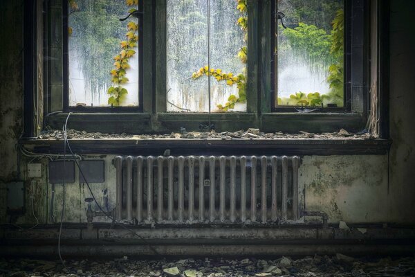 Ancienne pièce abandonnée avec des arbres qui jaillissent de la fenêtre