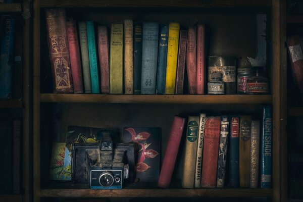 Книжные полки со старыми фотографиями