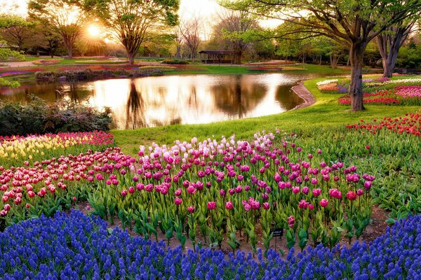 Jezioro z drzewami, niebieskimi i szkarłatnymi kwiatami