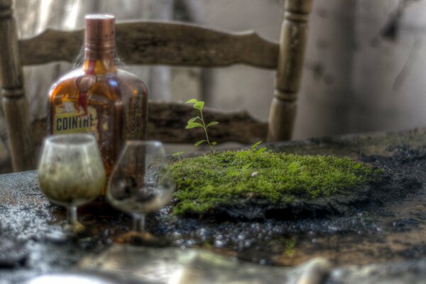 Botella y vasos en la mesa en el musgo