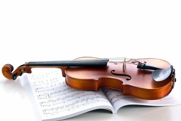 Violin. the best musical instrument