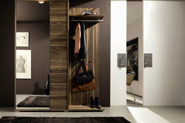 Stylish designer hallway interior in chocolate color