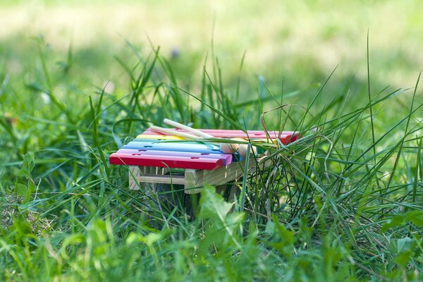 Instrumento musical para niños en la hierba verde