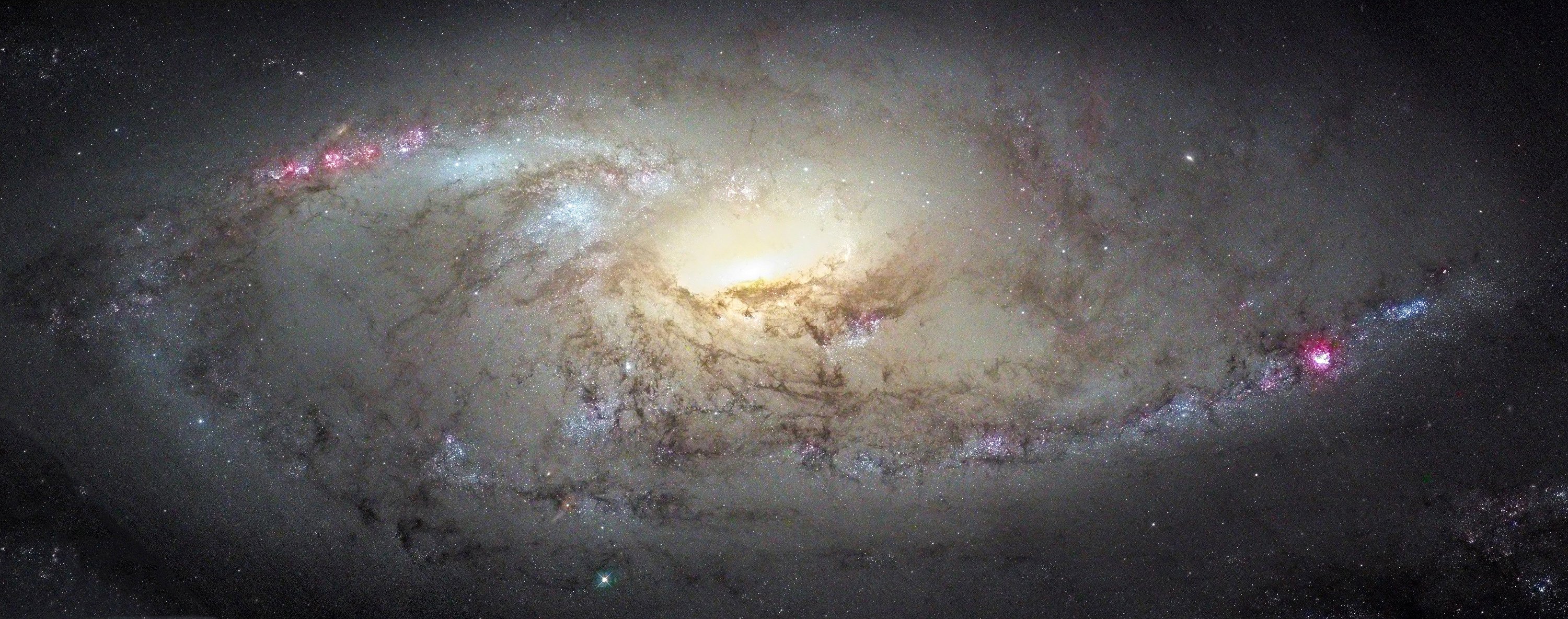 ngc 4258 m106 constellation galaxie grande ourse