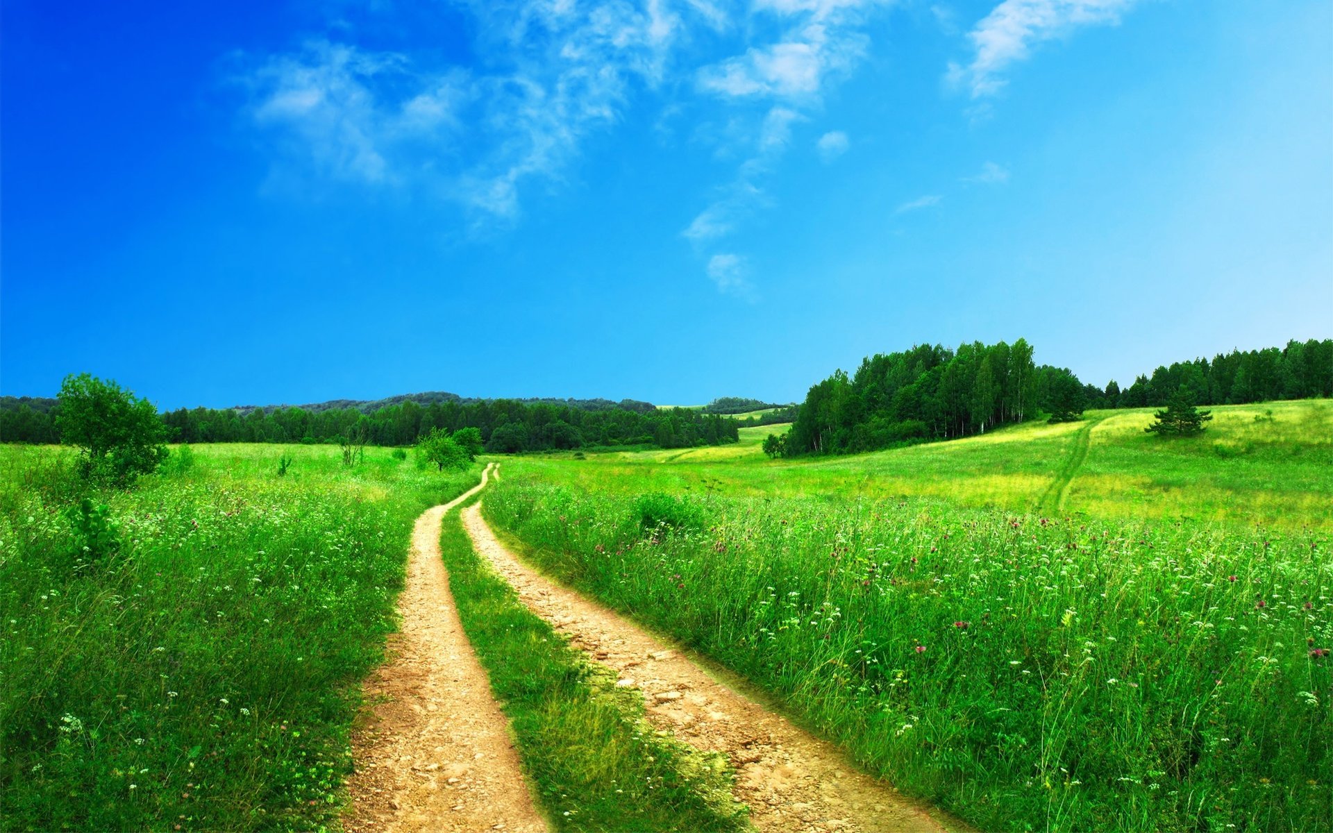 field meadow greens grass track road