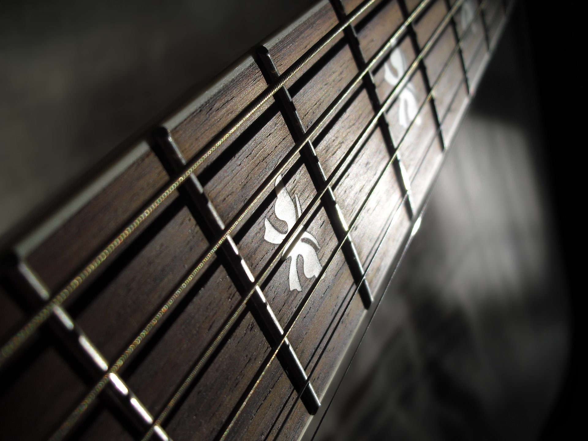 trings frets guitar macro grif