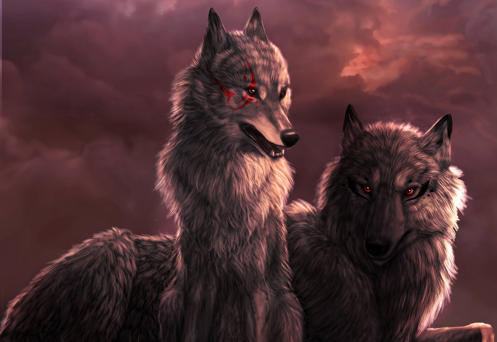 art wolf wolf sonnenuntergang wolken