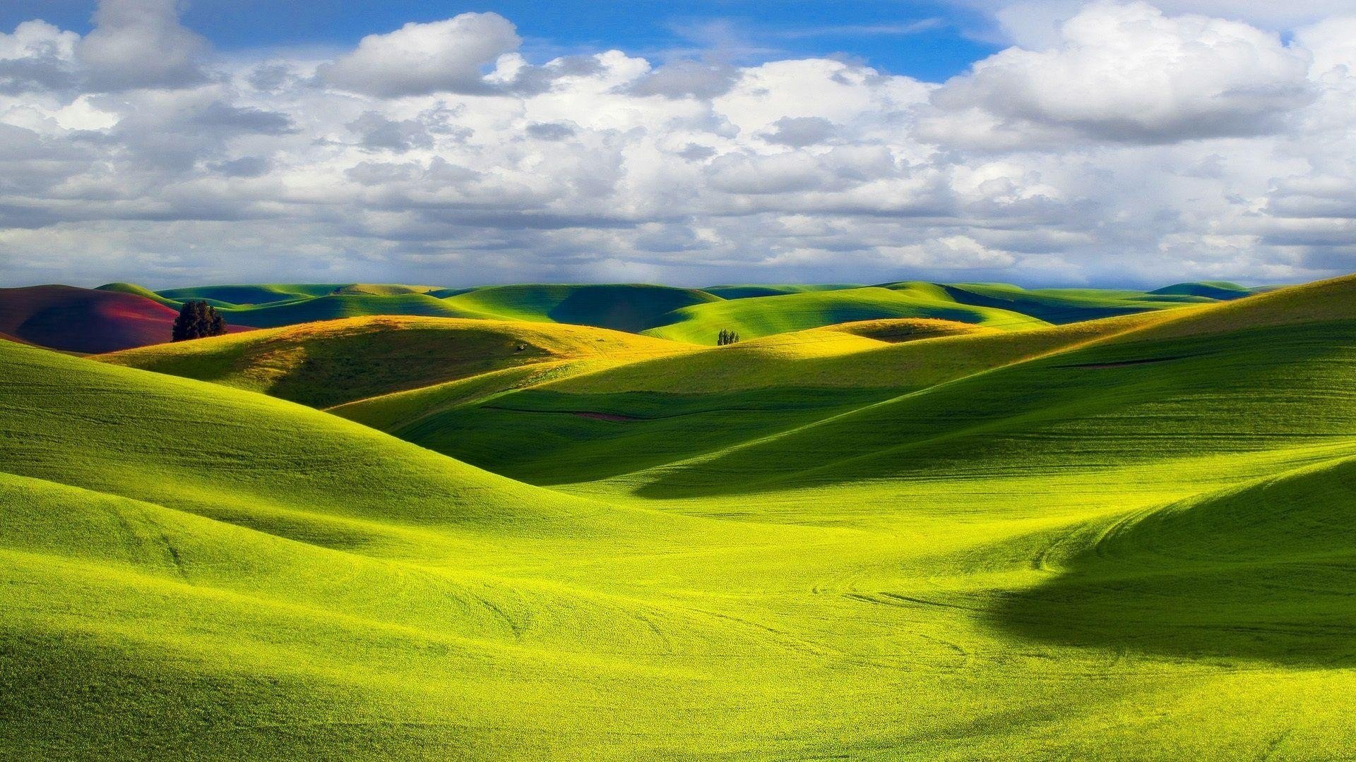 paysage nature prairie verdure herbe jour soleil lumière nuages