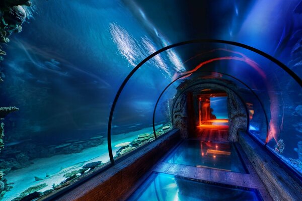 Дизайн отеля под водой в неоновом освещении