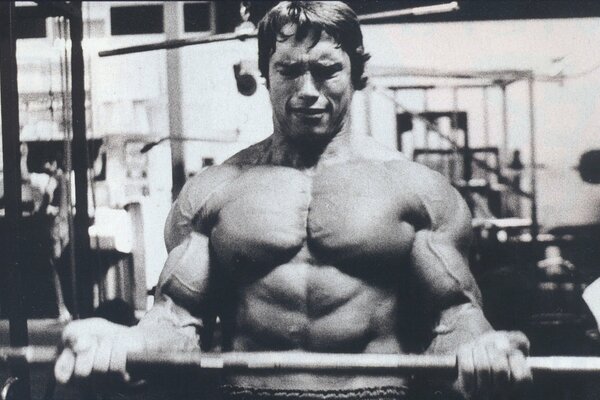 Arnold Schwarzenegger lifts the bar