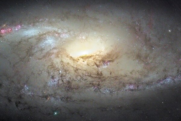 Constelación Galáctica la Osa mayor
