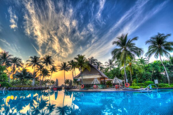 Station tropicale avec palmiers et piscine