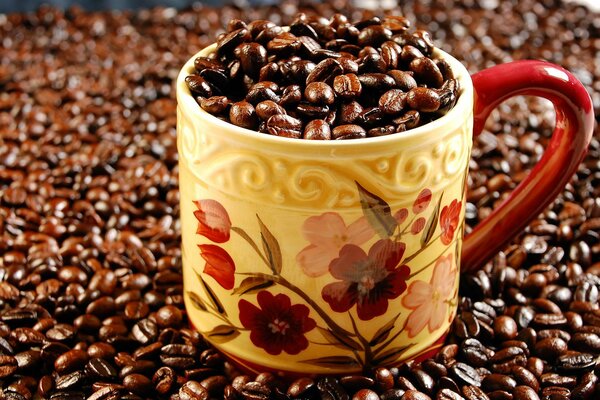 A mug full of roasted coffee beans on a background of many of the same beans