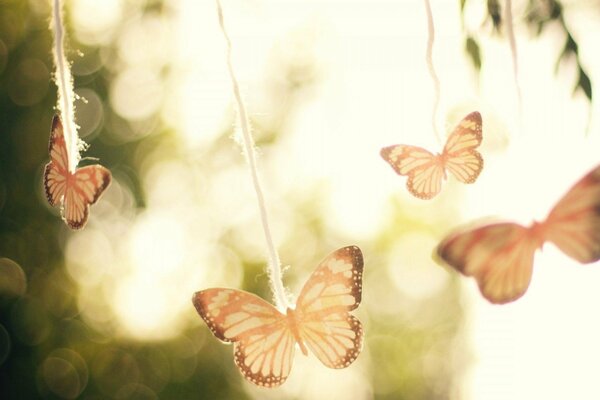 Gentle butterflies. lightness in light