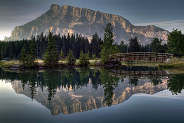 Forest and bridge in the reflection of the river