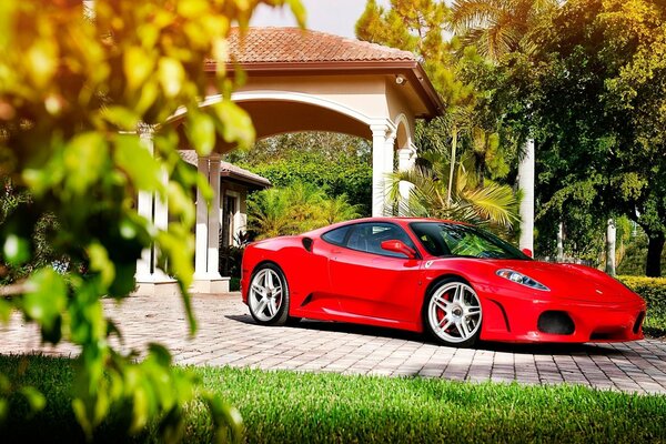 Ferrari rojo sobre un hermoso fondo